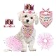 Pyuyan 4 Teiliges Haustier Geburtstag Outfits, Haustier Geburtstagsdekoration, Haustier Geburtstags Anzug, Haustier Tutu Rock Geburtstags, Haustier-Geburtstagstuch, für Hunde, Katzen, Haustiere