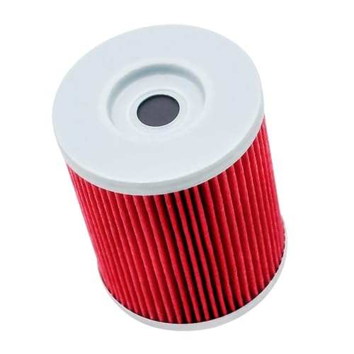 Filtre à huile pour DS650 2001-2006 et Outlander 400 | Pack de 2