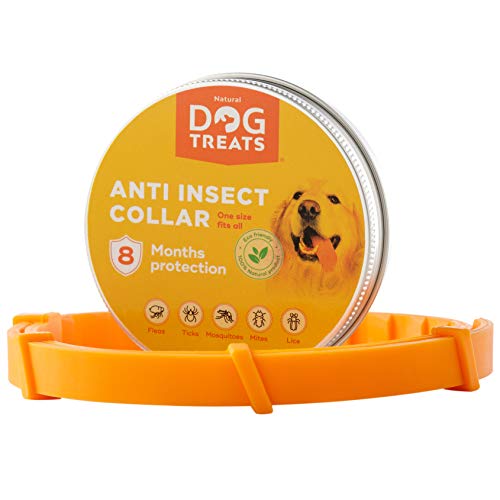 Natural Dog Treats Collar Antiparasitos para Perros, Gatos, Tamaño Ajustable e Impermeable para Mascota Pequeño Mediano Grandes, contra Pulgas, Garrapatas y Mosquitos