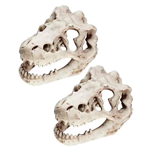 iplusmile 1セット 恐竜 レジン 頭蓋骨 水槽 オーナメント キット 水槽 流木 魚 恐竜 2個