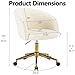 Nahenduo Cute Vanity Chair with Back, Teddy Velvet Desk Chair with Wheels and Gold Legs, Modern Makeup Chairs for Vanity Bedroom Office, Adjustable High 360 Swivel (Teddy White)