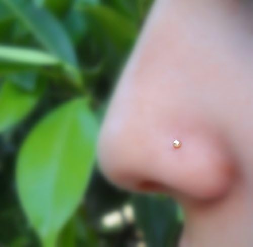 Nose Ring Stud - Cartilage Tragus Earring - 14K Solid Gold - 1.5mm Ball - 22G to 16G Post