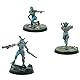Fallout: Wasteland Warfare - Raiders: Disciples Leaders