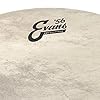 Evans BD16GB4CT 16 inch EQ4 Calftone Bass Drum Head #1