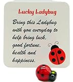 Westmon Works Lucky Ladybug Legend Pocket Charm Set Little Good Luck Glass Token with Story Card