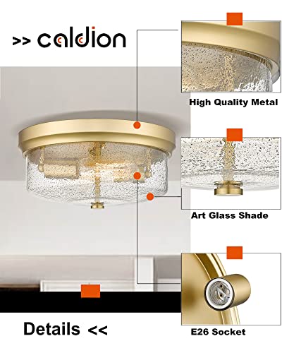 Caldion Close To Ceiling Light Fixtures, 12Inch Flush Mount Ceiling Light, Metal Gold Finish With Handmade Seeded Smoky Glass Shade,6872Fm-Gd-Smoky #TOP2