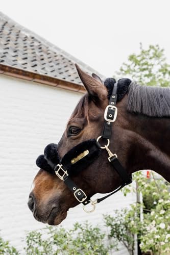 Cabestro completo Kentucky de lana vegana para caballo negro 3