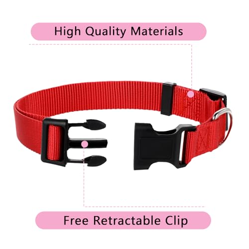 Collar para perro mediano ajustable 20 piezas nylon colores miniatura 5