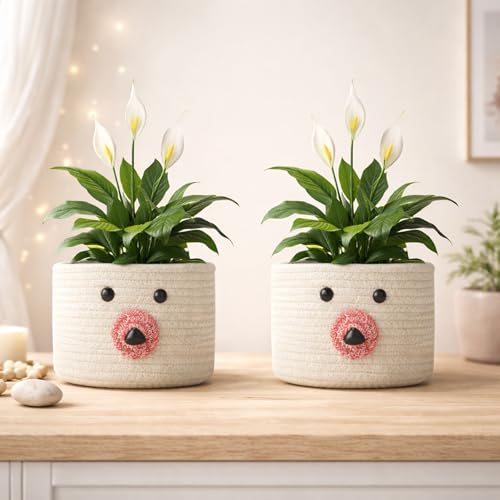 Image of Teddy Eco-Friendly Cotton Rope Basket Set of 2 (6x6 Inch) - Remote Holder for Living Room & Remote stand for Table, Makeup organisers, Jute Planter Basket & Jute Pots for Plants (White - Combo)