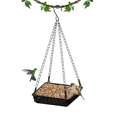 Hanging Bird Feeder, Platform Bird Feeders for ...