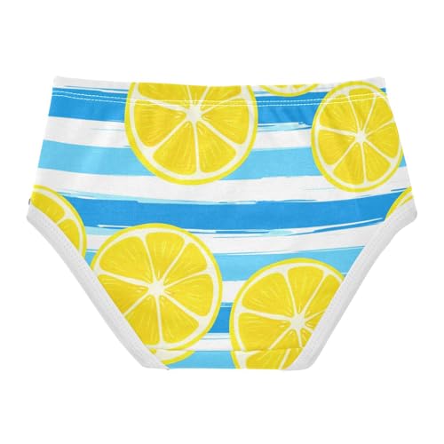 Toddler Underwear Floral 2t Cotton Little Girl Panties Animal Briefs Undies Kids Yellow Lemon Blue Stripes2
