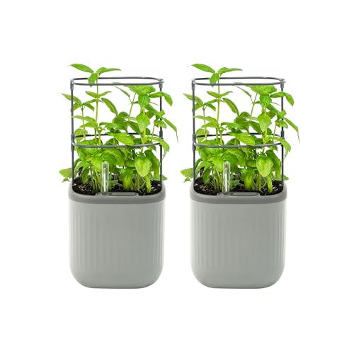 Vego garden Mini Planter Indoor Pots with Trellis Self-Watering Herb Countertop Planter for Climbing Vegetables Flowers Mint Plants Cage 2 Pack- Fog Gray