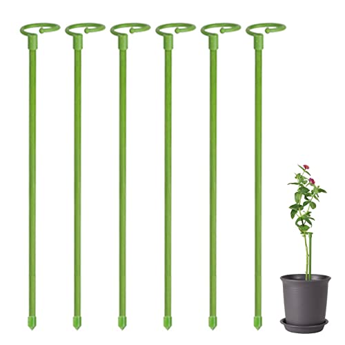 Dusehu Estacas de Apoyo para Plantas de un Tallo,Estacas de Flores de un Tallo 6 Piezas | Estacas para Plantas de jardín para Flores, orquídea, peonía, Lirio, Rosa, Tomates Cover