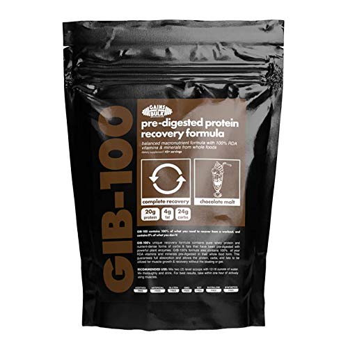 Buy Gains 100 pre-digested Protein Recovery Formula, Whey Protein ...