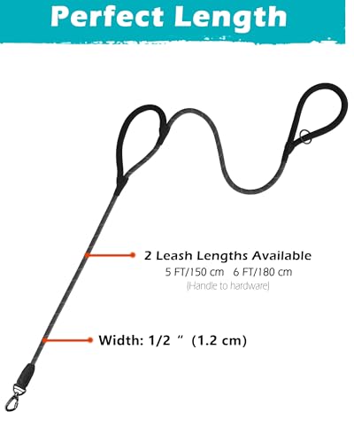 PetBonus Hundeleine mit 2 Griffen, 1,8 m Robuste Leine Hund mit Abschließbarer Karabiner und zwei Gepolsterter Griff, Reflektierende Nylon Trainingsleine für große und mittelgroße Hunde (Schwarz Grau)
