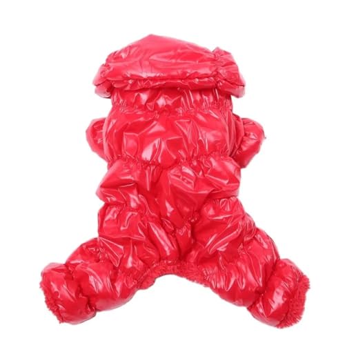 ~ghhybgWvX[cyʃt[htLWPbgpOČv[h,,M