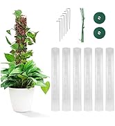 Tefola Monstera Rankhilfe, Moosstab 6 Stück 24 Zoll Rankhilfe Monstera Kunststoff-Moosstangen Für...
