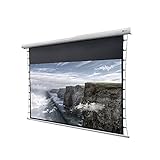 Leinwand Typ: Tensionleinwand DELUXX Cinema Motorleinwand Tension 298 x 168cm, 135\