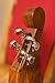 Roosebeck Grace Mountain Dulcimer 4-String Vaulted Fretboard Spruce F-Holes