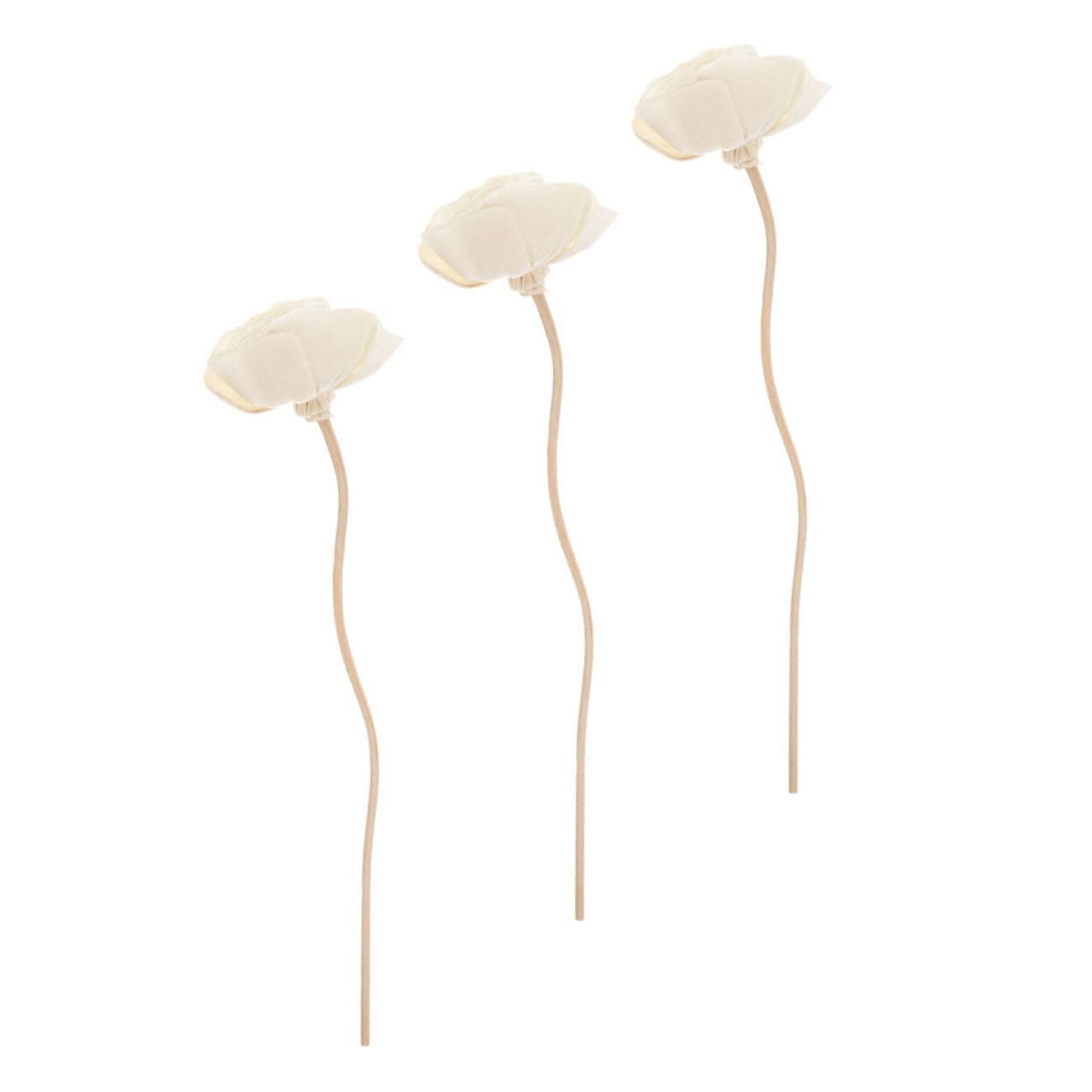 PRETYZOOM 3pcs Decorative Rattan Diffuser Accessories for Home Fragrance Your Space Bedroom Living Room Kitchen