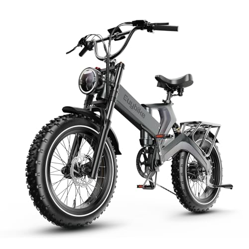 2000W/3000W Peak Motor Electric Bike for Adults, 48V/52V
