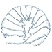 SCITOO QG2228CAM Snow Chains for Car Pickup Trucks SUV,Universal Emergency Tire Traction Chain,Anti-Skid Thickening Tire Chains Width 225 235 245 255 265 275 285 295(15