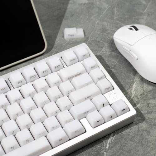 Sumgsn 130 Keys OEM Profile Shine Through White Keycaps Set Translucent Keycaps Compatible with 61/64/87/104/108 Cherry Mx Switches Mechanical Keyboard by Sumgsn - Image 4
