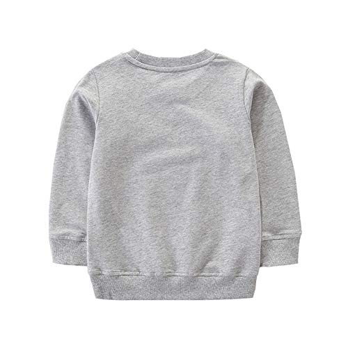 Little Girl Sweatshirt Crewneck Cotton Casual Long Sleeve T-Shirts Outfits Gray 3D Bag Print Warm Tee Sport Tops #TOP1