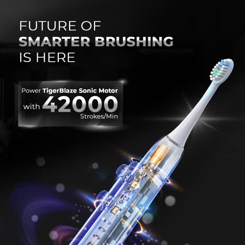 Image of beatXP Beyond Electric Toothbrush for Adults with 7X Plaque Removal & Wireless Charging | Electric Toothbrush with 2 Brush Heads & 5 Cleaning Modes | 42000 strokes /min with Travel Case
