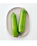 ズッキーニ エホバク●韓国産 ●エホバクチヂミ デンジャンチゲ ズッキーニ炒め 野菜 韓国食材 韓国食品 韓国野菜 韓国エホバク (200g~300g, 5, 個)