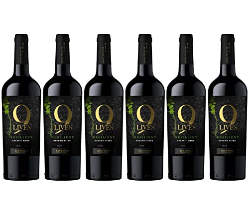 Gato Negro 9 Lives Cabernet Sauvignon Vin Rouge du Chili 0,75 L - Lot de 6 Cover