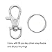 Livder Metal Swivel Lanyard Snap Hooks and Split Key Rings Chain Hook Keychain, 100 Pieces