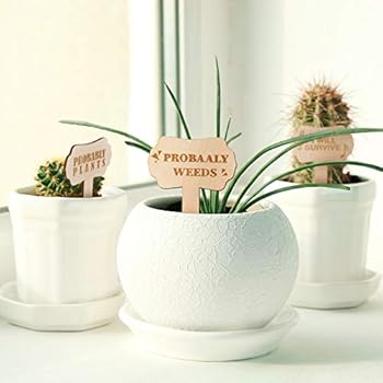 24 Pieces Funny Plant Markers Wooden Plants Labels T-Type Garden Labels Wooden Plant Markers for Vegetable Flowers Garden Potted Plants