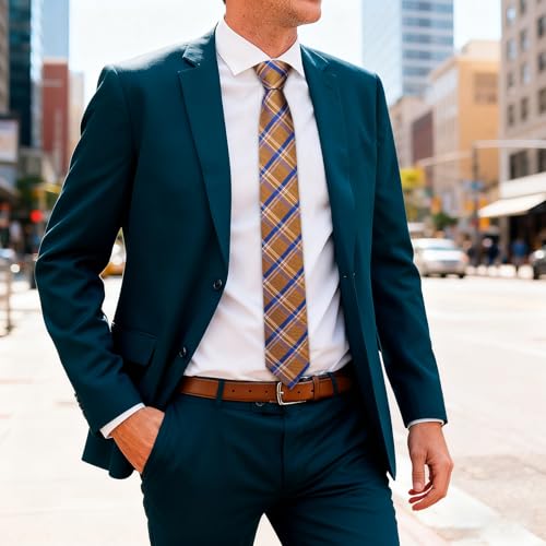 Image of Barry.Wang Plaid Ties Mens Silk Necktie and Tie Clip Checkered Tie for Wedding Party Business Formal