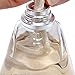 So Neutral | Lampe Berger Fragrance Refill by Maison Berger | for Home Fragrance Oil Diffuser | Purifying and perfuming Your Home | 16.9 Fluid Ounces - 500 milliliters | Made in France