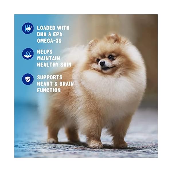 Omega 3 Fish Oil for Dogs Soft Chews 90 ct – Omega 3 for Dogs with Biotin & Vitamin E for Shiny Coat – Dog Skin and Coat Supplement for Itchy, Dry Skin – Shedding Omega 3 6 9 Oil for Dog Omega 3 Fish Oil for Dogs Soft Chews 90 ct – Omega 3 for Dogs with Biotin & Vitamin E for Shiny Coat – Dog Skin and Coat Supplement for Itchy, Dry Skin – Shedding Omega 3 6 9 Oil for Dog