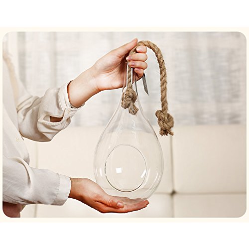 EssenceLiving Cuerda de lágrima colgante grande terrario ideal para plantas de aire, suculentas y cactus decoración de interiores, grande