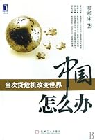 What should China do: When the Subprime Crisis Changes the World 7111258312 Book Cover