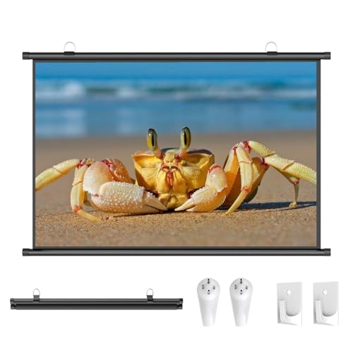 Pantalla manual 50 pulgadas 4:3 para proyector