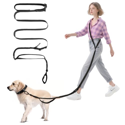 vsshe Freihandleinen Hundeleine, 2.5m Joggingleine Hunde, Verstellbarer Hüftgurt & Dehnbare Bungee-Leine, Lange Hundeleine mit Sicherheitsschnalle & Reflektierenden Nähten für Klein Mittel Groß Hunde