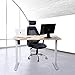 UNICOO Electric Height Adjustable Standing Desk, Electric Standing Workstation, Sit Stand Home Office Desk, Gaming Table, Whole-Piece Desktop Board 48 * 24 in (KT1001-LW)