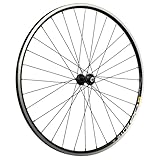 Taylor-Wheels