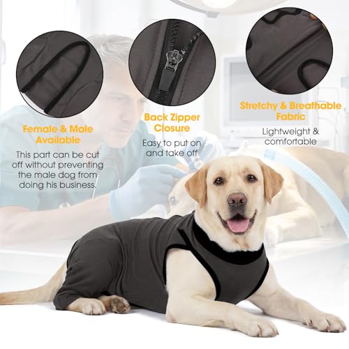 Image of Lelepet Dog Recovery Suit for Rear Legs, Surgery Onesie, Cone Alternative