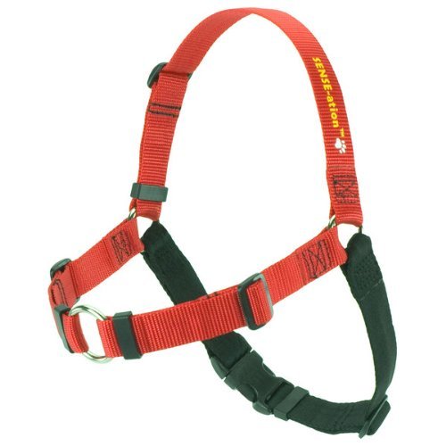 SoftouchSense-ation No-Pull Dog Harness (Red, Extra Small)