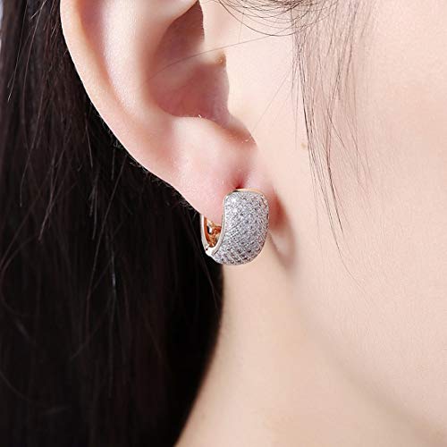 Zircon Plated Drop Earrings (CT-ERG-45109)