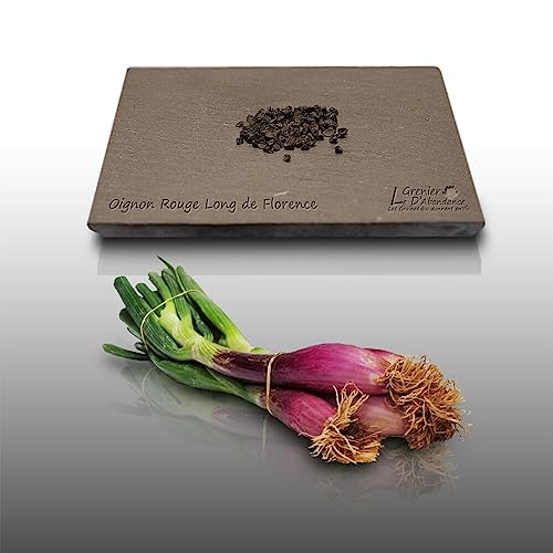 100 graines à semer - Le Grenier d'Abondance - OIGNON Rouge de Florence - Allium cepa