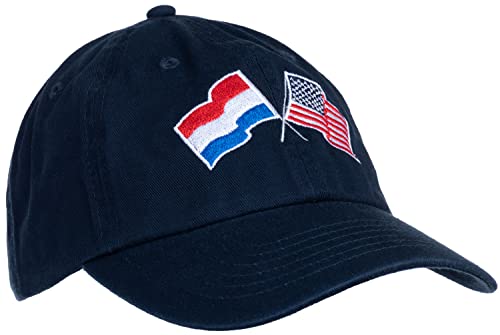 Image of Ann Arbor T-shirt Co. American Friendship Nations Flag Baseball Low Profile Dad Hat for Men Women