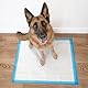 Four Paws Wee-Wee Superior Performance XL Urinierunterlagen für extra große Hunde, auslaufsicherer Bodenschutz, Gesteppte Töpfchentrainingspads, geruchlos, 71,1 x 86,4 cm (40 Stück)