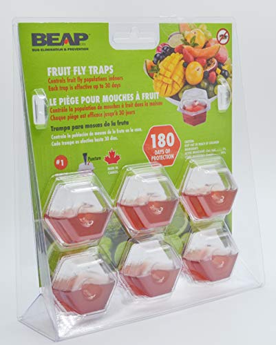 Say Goodbye to Fruit Flies. BEAPCO Premium Fruit Fly Traps for Indoors - 180 Days Supply - for fruit flies & gnats. - Easy to use - Food Based, trap, bait, lure, catcher, fruit flies. - 6-Pack