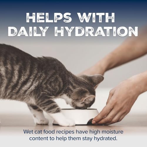 Image of Blue Buffalo Wilderness High Protein, Grain Free Wet Kitten Food, Chicken Pate, 3oz Cans, 4-Count Multipack